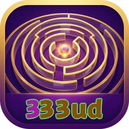 333ud