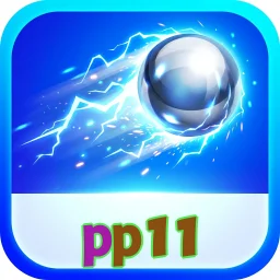 pp11